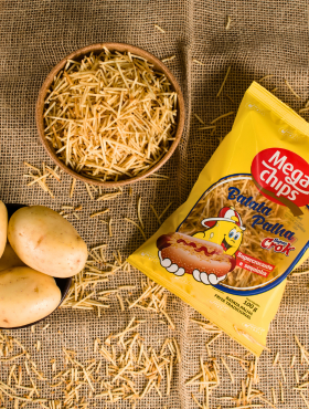 Sobre nós - Mega Chips